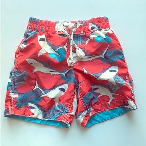Baby Gap Toddler Swim Trunks - Shark Print